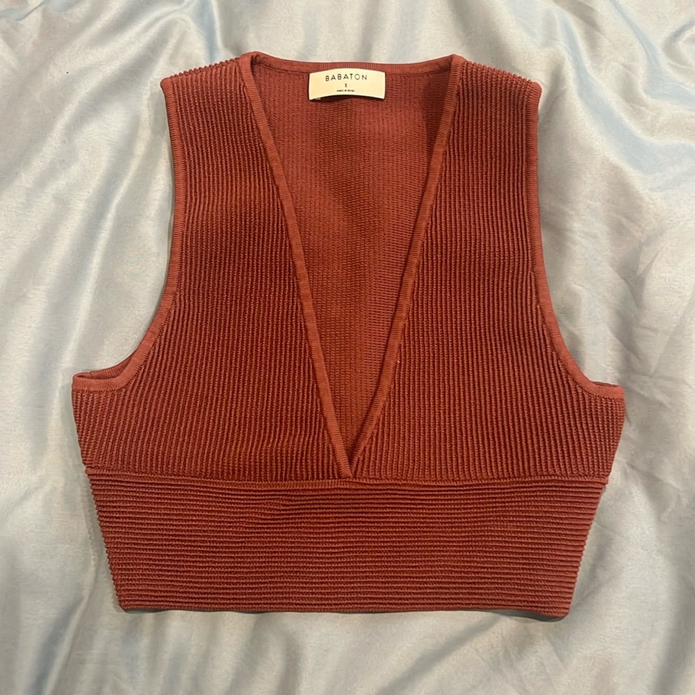Artizia babaton deep V crop